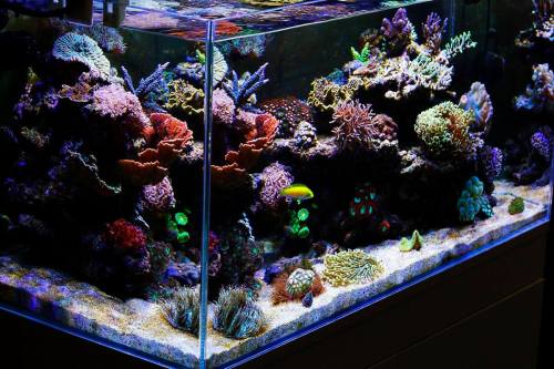 906123_683003168423417_6820940097051147790_o